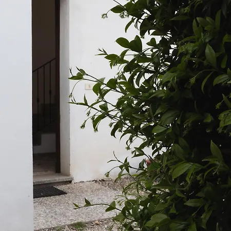 Appartamento La Fenice Del D'orta Gozzano